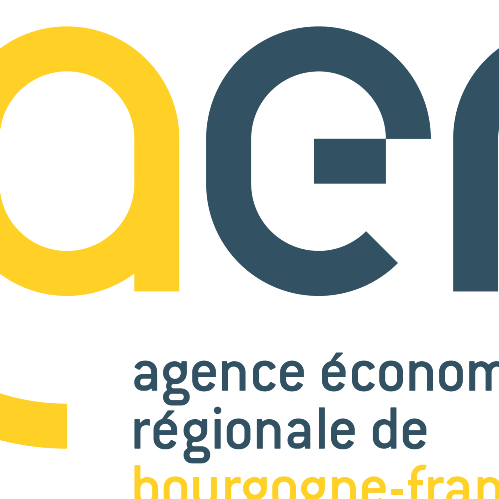 Logo de la société