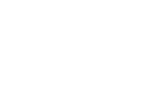 SIIViM